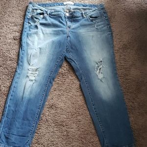 Torrid jeans